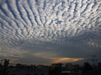 秋の雲２０１２年１０月 004.JPG