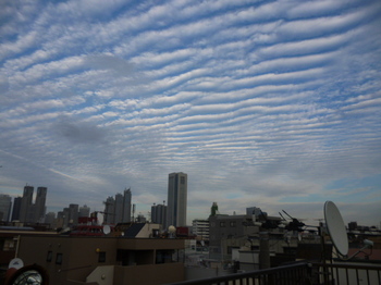 秋の雲２０１２年１０月 006.JPG